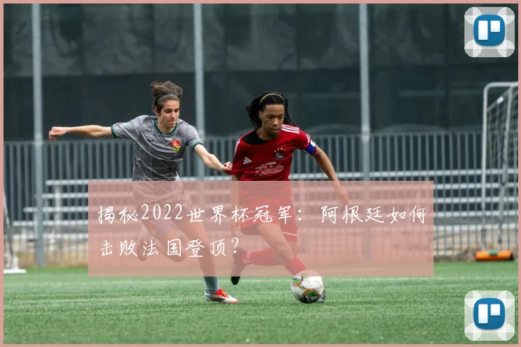 揭秘2022世界杯冠军：阿根廷如何击败法国登顶？