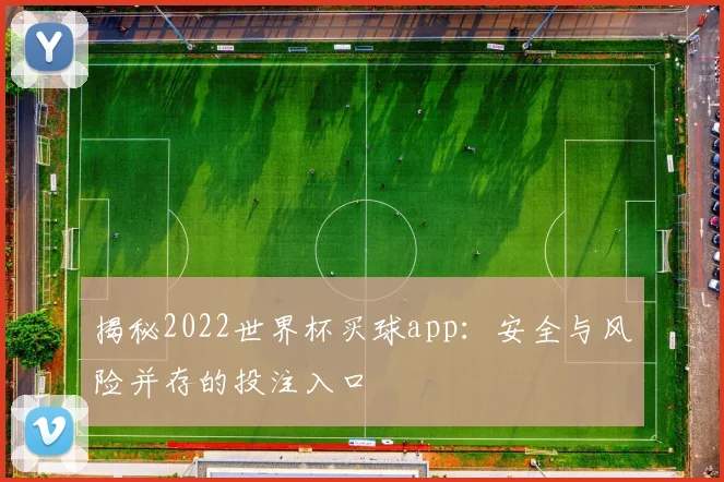 揭秘2022世界杯买球app：安全与风险并存的投注入口